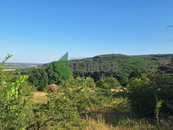 Парцел в с. Малка Верея, Област Стара Загора - 1800 кв.м за 22 €/кв.м - Снимка #1