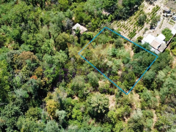 Парцел в Варна, м-т Франга Дере - 554 кв.м за 82 €/кв.м - Снимка #1