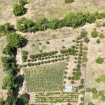 Парцел в с. Мечка, Област Русе - 3180 кв.м за 11 €/кв.м - Снимка #1