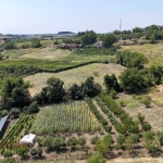 Парцел в с. Мечка, Област Русе - 1450 кв.м за 10 €/кв.м - Снимка #1