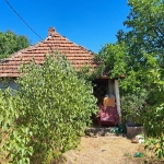 Къща в с. Пролазница, Област Видин - 70 кв.м за 160 €/кв.м - Снимка #1