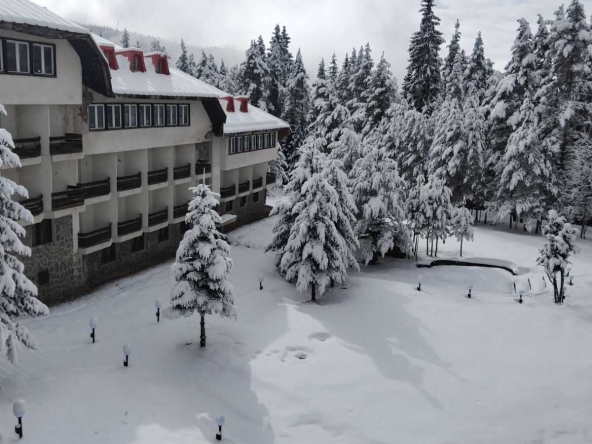 Едностаен апартамент в Белица - 30 кв.м за 1500 €/кв.м - Снимка #1