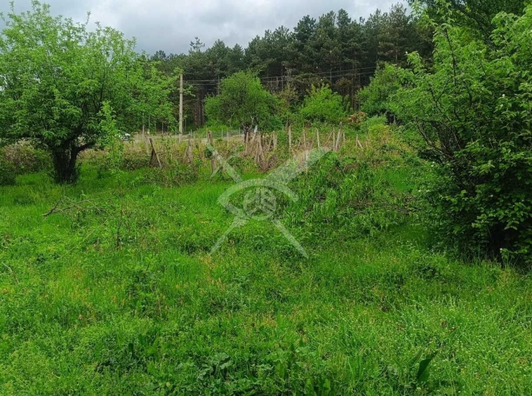 Парцел в Сопот - 1616 кв.м за 12 €/кв.м - Снимка #1