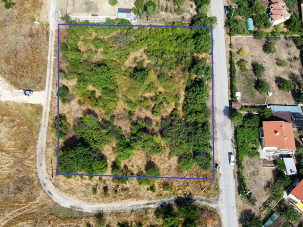 Парцел в с. Слънчево, Област Варна - 4254 кв.м за 32 €/кв.м - Снимка #1