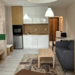 Дава се под наем Едностаен апартамент в София, Дървеница - 40 кв.м за 320 € - Снимка #1