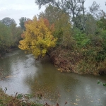 Земеделски имот в Бургас, Пристанище Бургас -  кв.м за 8 €/дка - Снимка #1