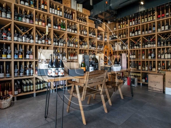 Дава се под наем Магазин в София, Симеоново - 163 кв.м за 3490.95 € - Снимка #1