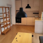 Дава се под наем Двустаен апартамент в София, Бъкстон - 48 кв.м за 698.19 € - Снимка #1