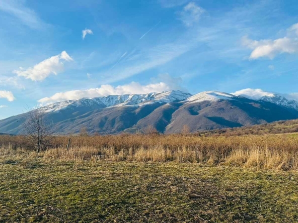 Земеделски имот в Карлово -  кв.м за 5 €/дка - Снимка #1