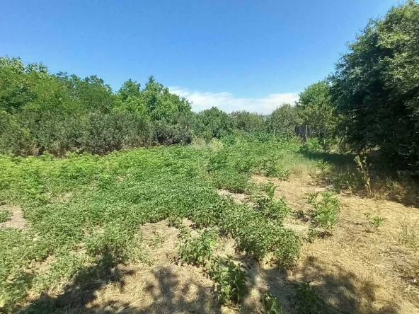 Парцел в Разград, Орел - 892 кв.м за 51 €/кв.м - Снимка #1