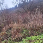 Парцел в Елин Пелин - 330 кв.м за 22 €/кв.м - Снимка #1