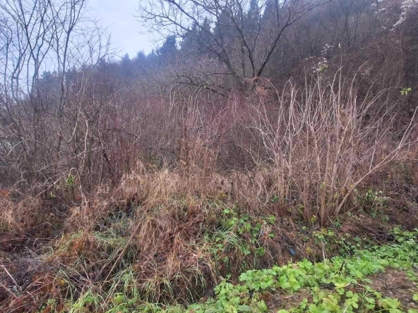 Парцел в Елин Пелин - 330 кв.м за 22 €/кв.м - Снимка #1