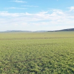 Земеделски имот в София, Люлин 1 -  кв.м за 116 €/дка - Снимка #1