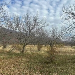 Земеделски имот в Карлово -  кв.м за 1 €/дка - Снимка #1