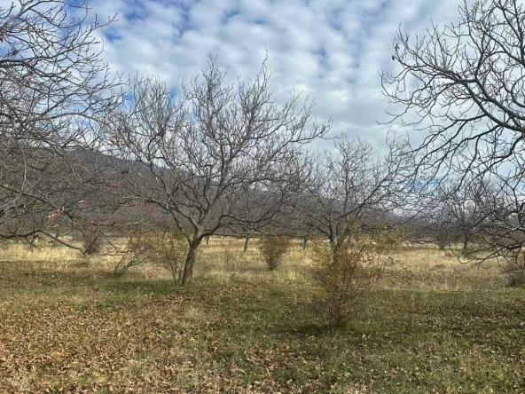 Земеделски имот в Карлово -  кв.м за 1 €/дка - Снимка #1