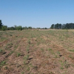 Парцел в с. Малка Смолница, Област Добрич - 2500 кв.м за 3 €/кв.м - Снимка #1