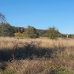 Земеделски имот в с. Горун, Област Добрич -  кв.м за 1530 €/дка - Снимка #1