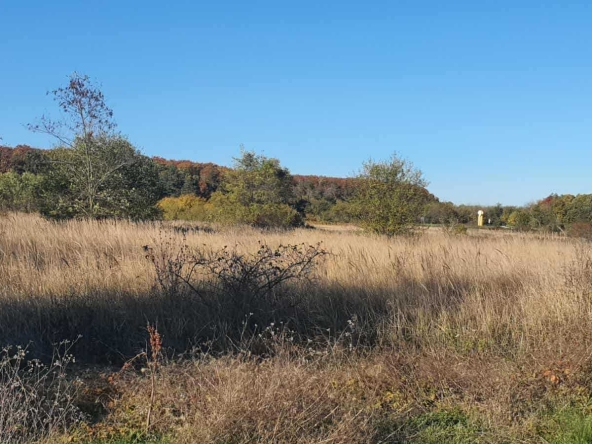 Земеделски имот в с. Горун, Област Добрич -  кв.м за 1530 €/дка - Снимка #1