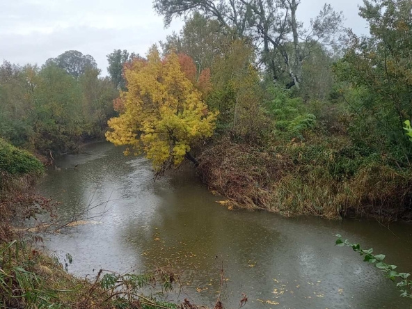 Земеделски имот в Бургас, Пристанище Бургас -  кв.м за 9 €/дка - Снимка #1