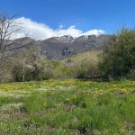 Земеделски имот в Карлово -  кв.м за 26 €/дка - Снимка #1