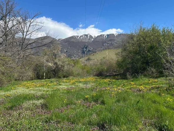 Земеделски имот в Карлово -  кв.м за 26 €/дка - Снимка #1