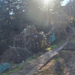 Парцел в с. Панчарево, Област София-град - 934 кв.м за 55 €/кв.м - Снимка #1