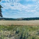 Парцел в с. Климентово, Област Варна - 1500 кв.м за 10 €/кв.м - Снимка #1