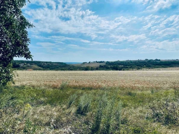 Парцел в с. Климентово, Област Варна - 1500 кв.м за 10 €/кв.м - Снимка #1