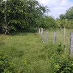 Парцел в Бургас, Сарафово - 1596 кв.м за 11 €/кв.м - Снимка #1