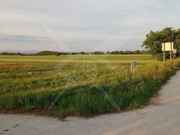 Парцел в с. Скутаре, Област Пловдив - 1087 кв.м за 40 €/кв.м - Снимка #1