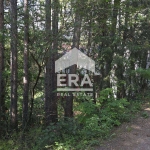 Парцел в с. Панчарево, Област София-град - 585 кв.м за 122 €/кв.м - Снимка #1