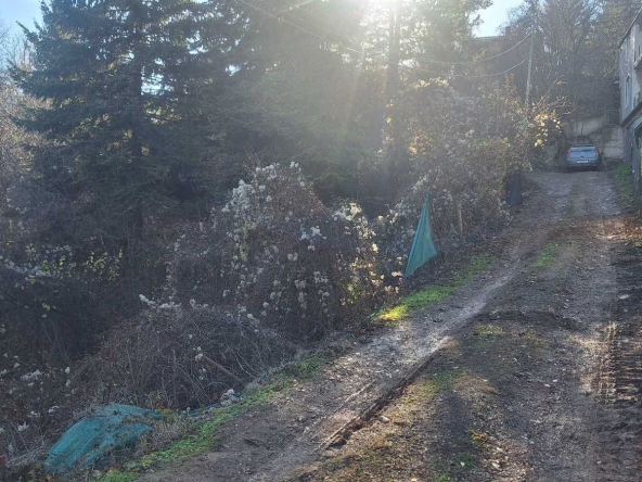 Парцел в Елин Пелин - 934 кв.м за 129 €/кв.м - Снимка #1