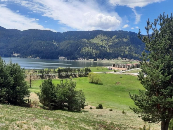 Парцел в Сърница - 2000 кв.м за 45 €/кв.м - Снимка #1