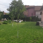 Къща в София, Димитър Миленков - 100 кв.м за 2500 €/кв.м - Снимка #1