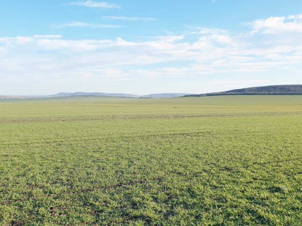 Земеделски имот в София, Люлин 1 -  кв.м за 509 €/дка - Снимка #1