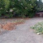 Парцел в с. Царацово, Област Пловдив - 433 кв.м за 125 €/кв.м - Снимка #1