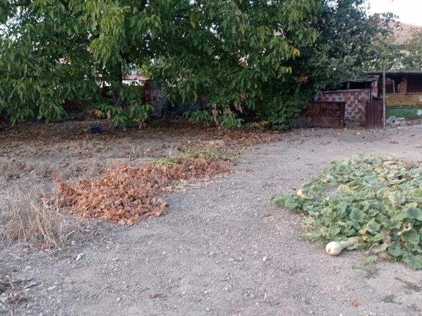 Парцел в с. Царацово, Област Пловдив - 433 кв.м за 125 €/кв.м - Снимка #1