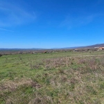 Парцел в с. Кошарица, Област Бургас - 1551 кв.м за 30 €/кв.м - Снимка #1