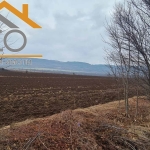 Парцел в Севлиево - 7200 кв.м за 6 €/кв.м - Снимка #1