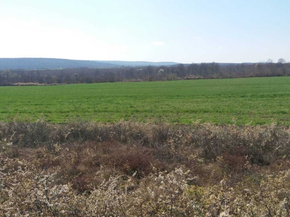 Земеделски имот в Варна, Възраждане 3 -  кв.м за 2040 €/дка - Снимка #1