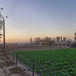 Парцел в с. Маноле, Област Пловдив - 4000 кв.м за 4 €/кв.м - Снимка #1