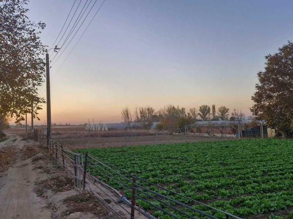 Парцел в с. Маноле, Област Пловдив - 4000 кв.м за 4 €/кв.м - Снимка #1