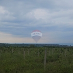 Парцел в Варна, Галата - 15299 кв.м за 4 €/кв.м - Снимка #1