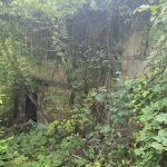 Парцел в с. Брусен, Област София-област - 2444 кв.м за 6 €/кв.м - Снимка #1