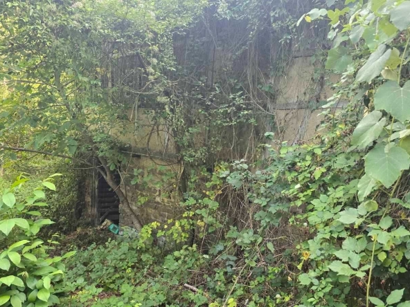 Парцел в с. Брусен, Област София-област - 2444 кв.м за 6 €/кв.м - Снимка #1