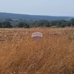 Парцел в с. Близнаци, Област Варна - 6900 кв.м за 44 €/кв.м - Снимка #1