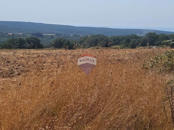 Парцел в с. Близнаци, Област Варна - 6900 кв.м за 44 €/кв.м - Снимка #1