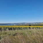 Парцел в с. Тополи, Област Варна - 7600 кв.м за 19 €/кв.м - Снимка #1