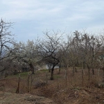 Парцел в Пловдив, Каменица 2 - 424 кв.м за 43 €/кв.м - Снимка #1