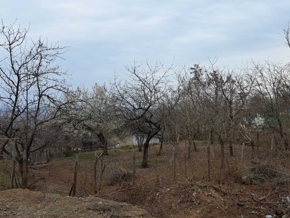 Парцел в Пловдив, Каменица 2 - 424 кв.м за 43 €/кв.м - Снимка #1